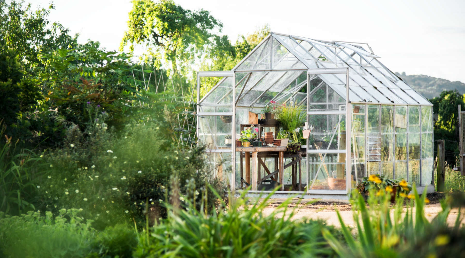 glass-greenhouse