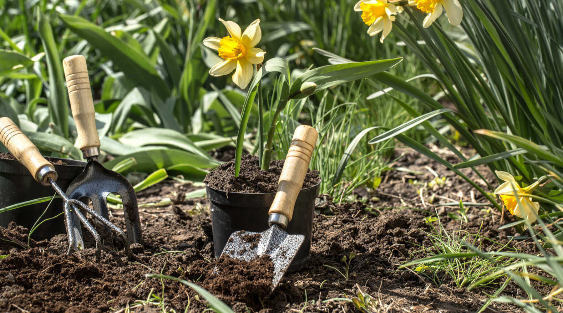 planting-flowers-garden-garden-tools-flowers