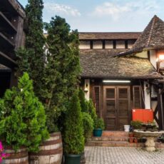 Tuje rosnące w drewnianych beczkach po winie, na tle pięknego budynku w stylu pruskim.