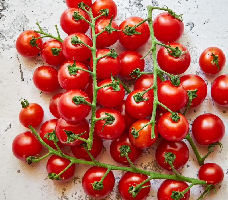 Kilka gałązek okrągłych, dojrzałych, intensywnie czerwonych pomidorków Cherry rozłożonych na kamiennym blacie