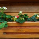 Czym zwalczać ślimaki w truskawkach?