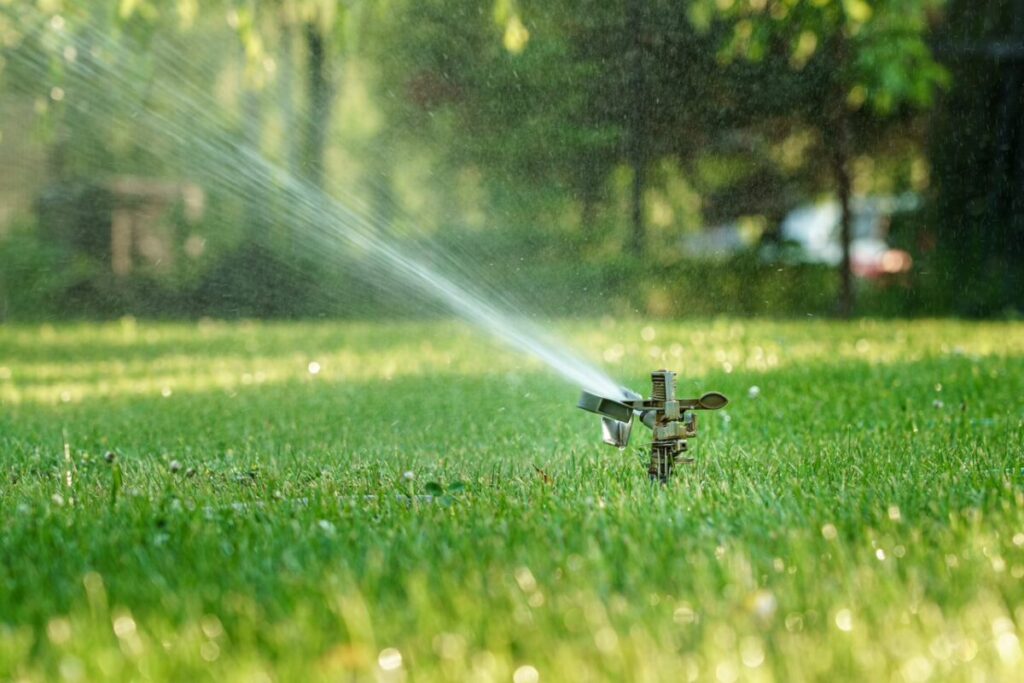 Trawnik w trakcie intensywnego podlewania za pomocą zraszacza ogrodowego. W tle drzewa.