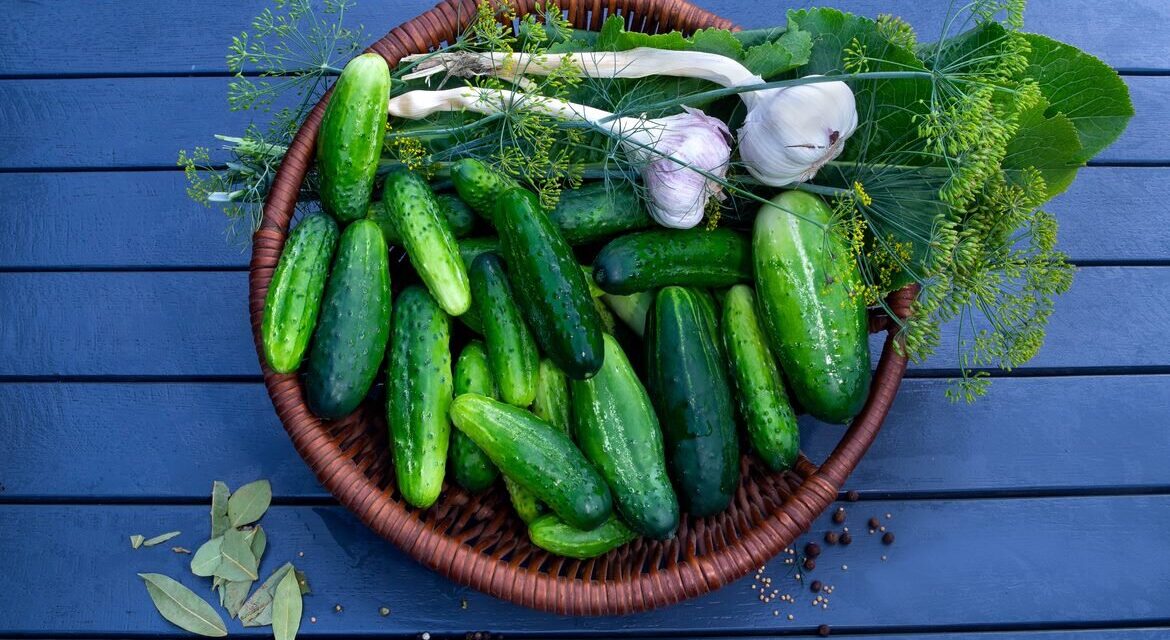 Ogórki gruntowe w koszu, świeże dwie główki czosnku oraz koper i liście chrzanu
