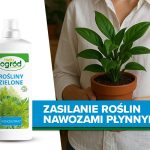 Zasilanie roślin nawozami płynnymi