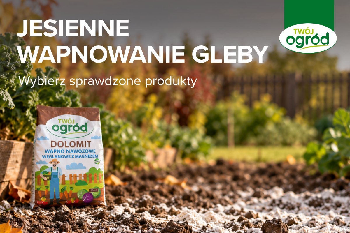 Baner z napisem „Jesienne wapnowanie gleby” przedstawiający opakowanie nawozu Dolomit marki Twój Ogród na posypanej białym wapnem glebie ogrodowej