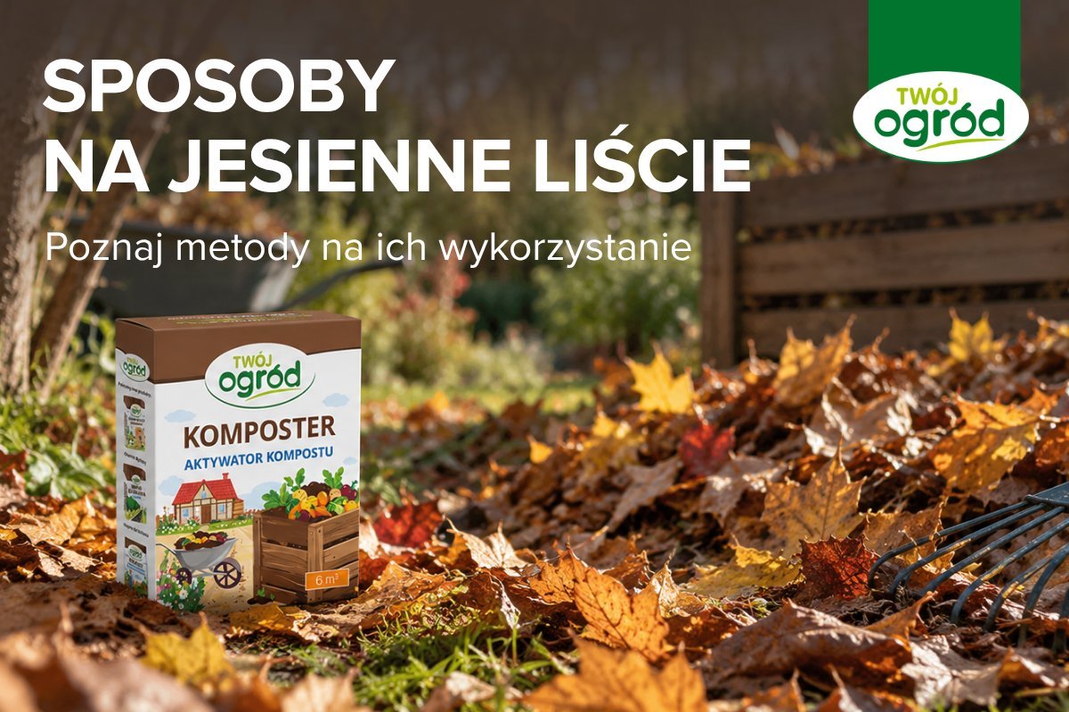 Baner edukacyjny z napisem „Sposoby na jesienne liście” pokazujący opakowanie aktywatora kompostu Komposter marki Twój Ogród na tle opadłych liści i grabi